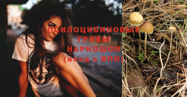 синтетический гашиш Каменка