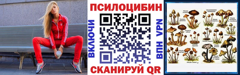 Галлюциногенные грибы Magic Shrooms  Курганинск 