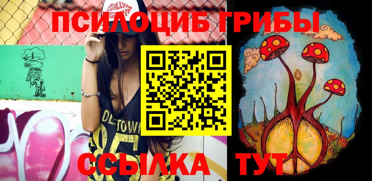 Галлюциногенные грибы GOLDEN TEACHER  Вход с VPN  Курганинск 