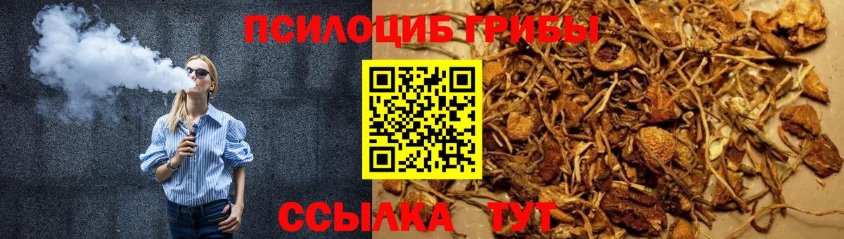 Псилоцибиновые грибы Cubensis Курганинск